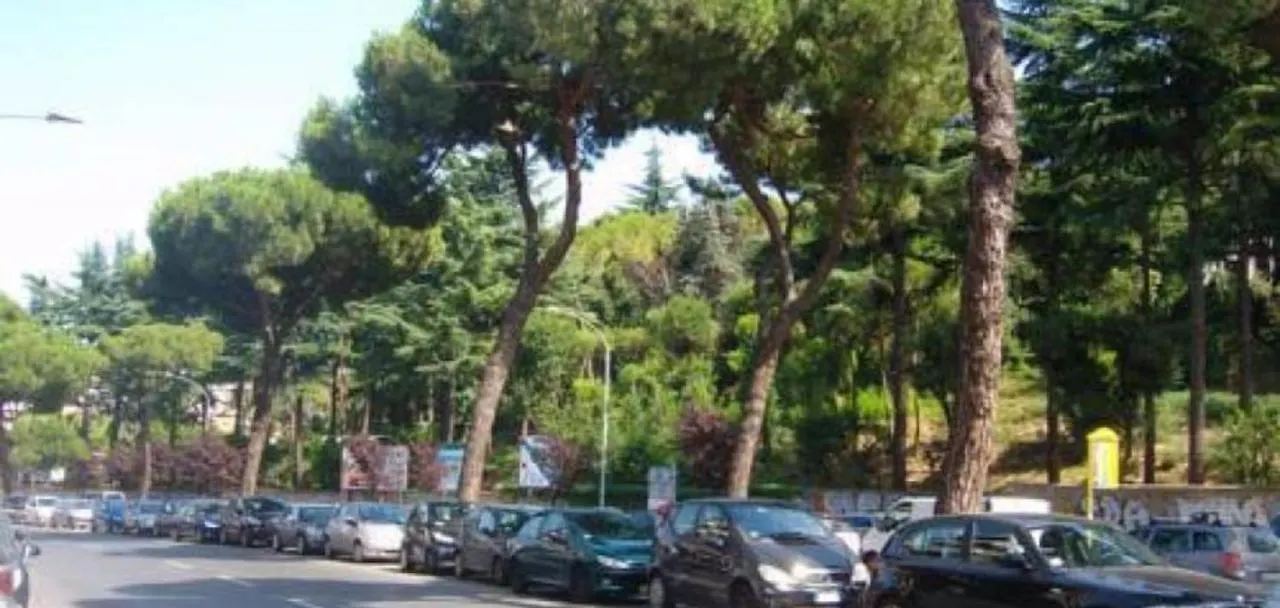 Magnolia St.Peter'S Suites Rome